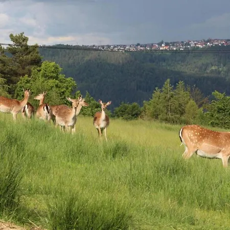 Schwarzwald-ferienwohnung Auf Dem Bauernhof *