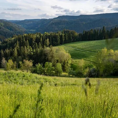 Schwarzwald-ferienwohnung Auf Dem Bauernhof * Schuttertal