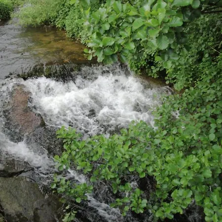Schwarzwald-ferienwohnung Auf Dem Bauernhof *