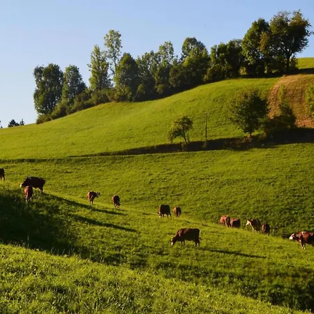 Schwarzwald-ferienwohnung Auf Dem Bauernhof Сasa de vacaciones