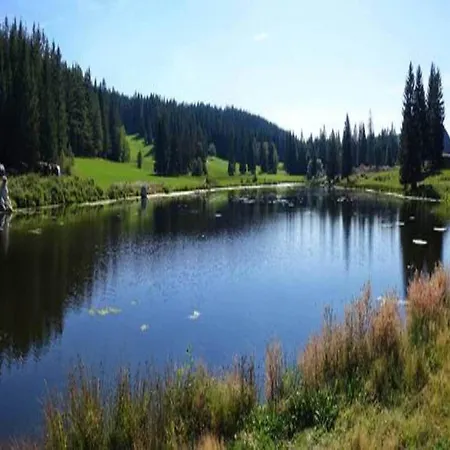 Сasa de vacaciones Schwarzwald-ferienwohnung Auf Dem Bauernhof *