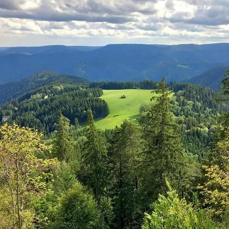 Schwarzwald-ferienwohnung Auf Dem Bauernhof * Schuttertal